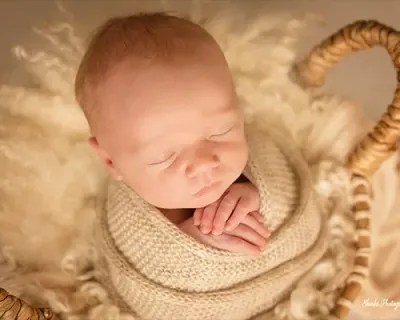 Newborn Boy Gallery